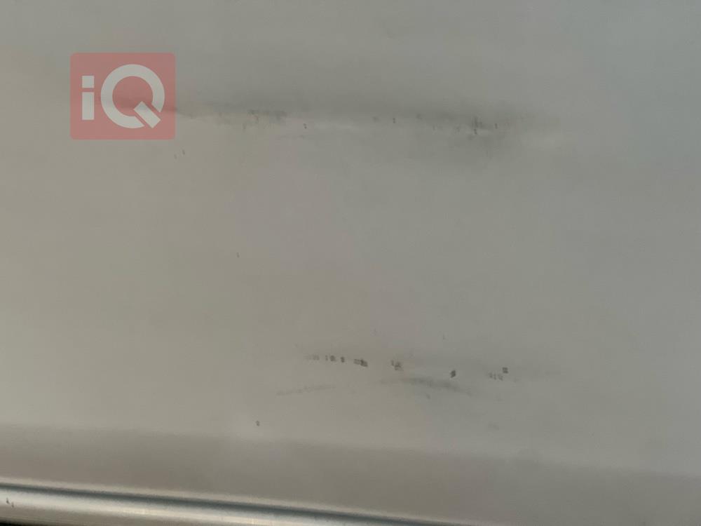 نيسان صني